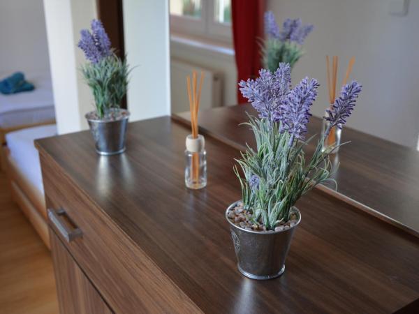 Penzion Locanda : photo 3 de la chambre chambre triple avec terrasse