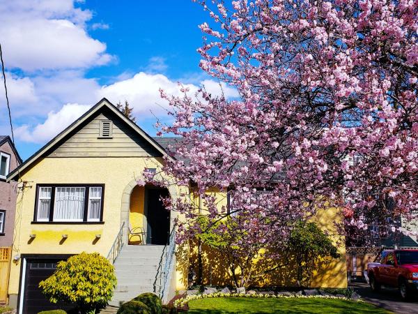 James Bay Inn Hotel, Suites & Cottage : photo 9 de la chambre gîte 2 chambres
