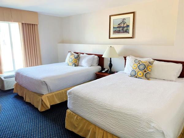 Days by Wyndham Niagara Falls Centre St. By the Falls : photo 5 de la chambre suite 2 lits queen-size avec canapé-lit 