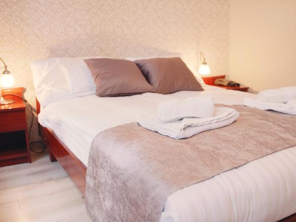 Aqua Villa Eger : photo 3 de la chambre chambre double ou lits jumeaux standard