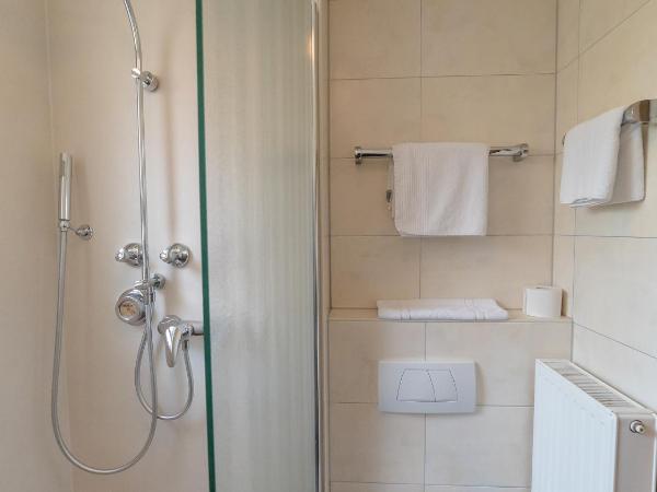 Hotel Lutter : photo 7 de la chambre chambre simple