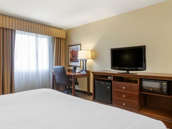 Country Inn & Suites Atlanta Downtown : photo 5 de la chambre chambre lit king-size - non-fumeurs