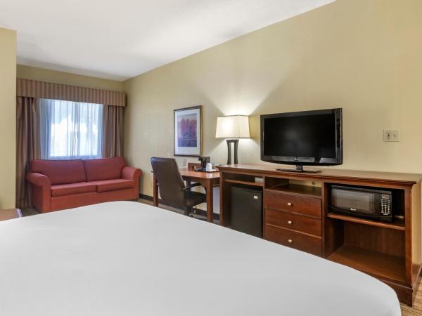 Country Inn & Suites by Radisson, Atlanta Downtown : photo 4 de la chambre studio lit king-size avec canapé-lit - accès pour personnes à mobilité réduite/non-fumeurs