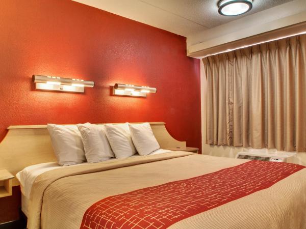 Red Roof Inn St Louis - Westport : photo 5 de la chambre chambre lit king-size standard - non-fumeurs