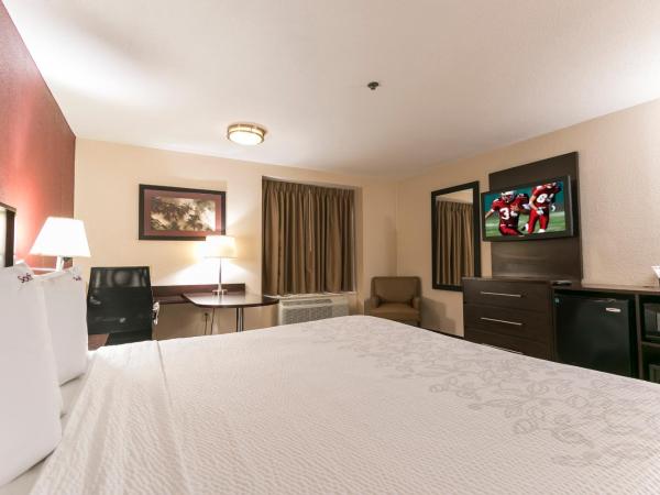 Red Roof Inn PLUS+ Austin South : photo 4 de la chambre chambre lit king-size supérieure - non-fumeurs