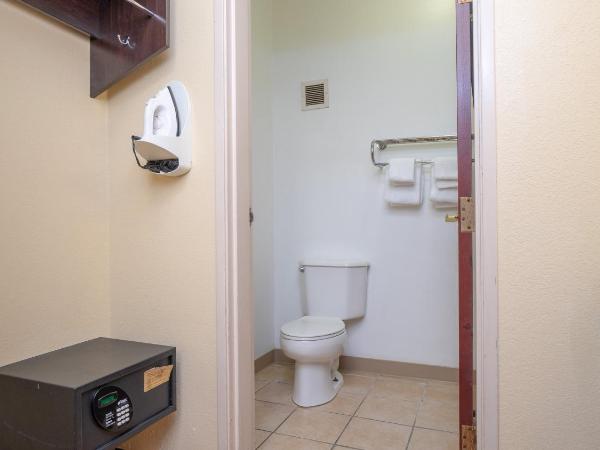 Red Roof Inn & Suites Indianapolis Airport : photo 9 de la chambre chambre lit king-size supérieure - non-fumeurs