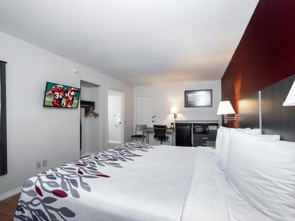 Red Roof Inn Houston North - FM1960 & I-45 : photo 1 de la chambre chambre de luxe lit king-size – accessible aux personnes à mobilité réduite – non-fumeurs