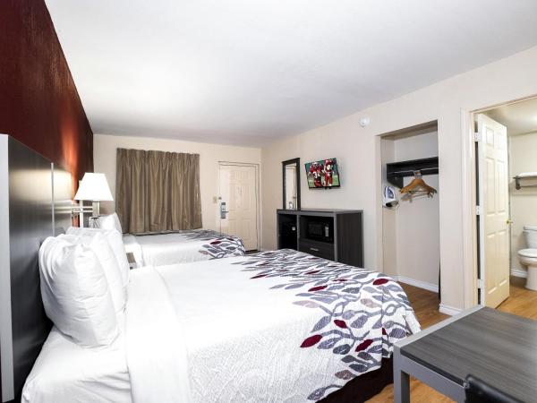 Red Roof Inn Houston North - FM1960 & I-45 : photo 2 de la chambre deluxe double room with two double beds disability access non-smoking