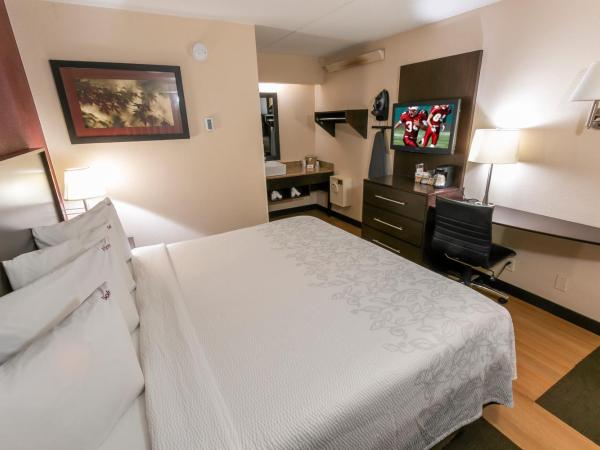 Red Roof Inn PLUS+ Columbus-Ohio State University OSU : photo 2 de la chambre chambre lit king-size standard - non-fumeurs