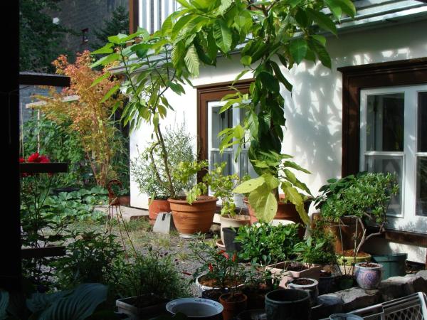 Au Petit Hôtel : photo 2 de la chambre studio