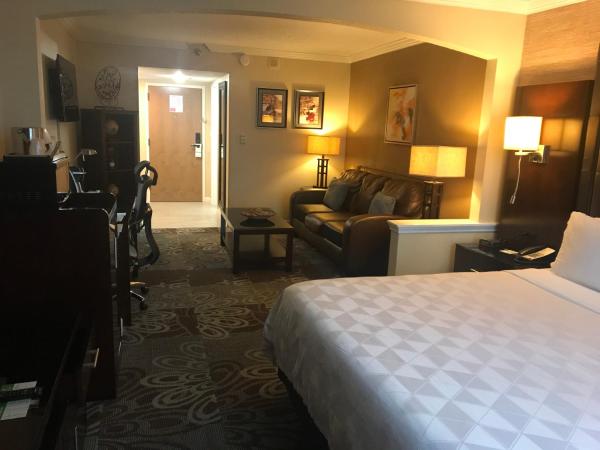 Holiday Inn Orlando East-UCF Area, an IHG Hotel : photo 2 de la chambre chambre lit king-size supérieure