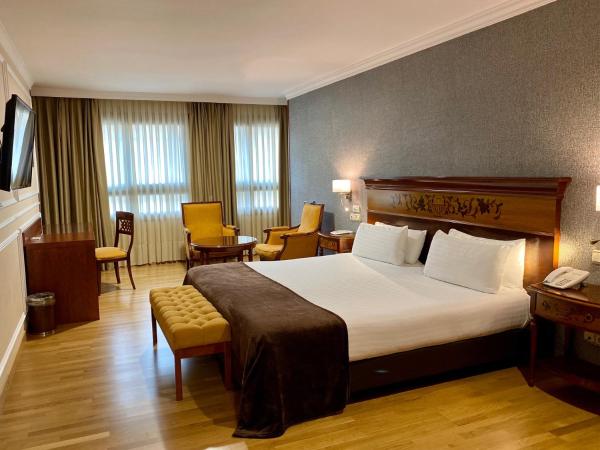 Eurostars Araguaney : photo 1 de la chambre chambre double ou lits jumeaux