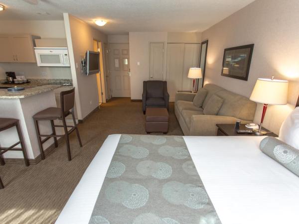 Campus Tower Suite Hotel : photo 9 de la chambre studio premium avec cuisine complète et lit queen-size