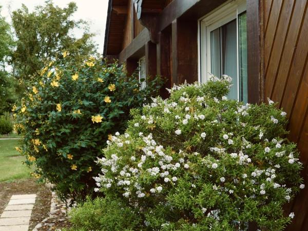 Le Chatellier : photo 4 de la chambre chambre prestige