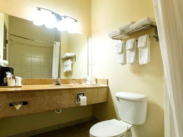 Days Inn & Suites by Wyndham Houston North/Aldine : photo 3 de la chambre chambre lit king-size - fumeurs