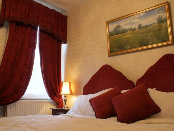 The Sycamore Guest House : photo 2 de la chambre chambre lit king-size ou lits jumeaux