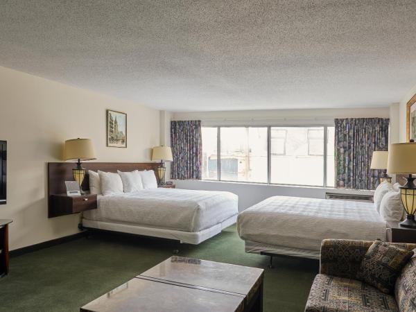 The Business Inn : photo 1 de la chambre studio double deluxe avec 2 lits king-size/queen-size et 1 canapé-lit queen-size