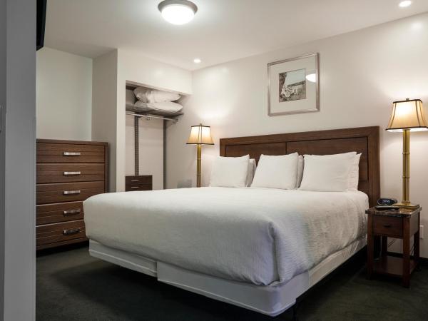 The Business Inn : photo 1 de la chambre suite exécutive avec 1 lit king-size et 1 canapé-lit queen-size