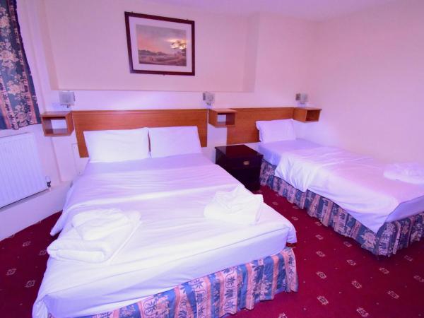 Bridge Park Hotel : photo 2 de la chambre chambre triple avec salle de bains privative (1 lit double et 1 lit simple)