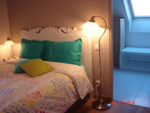 Chambres d'Hôtes La Villa des Hortensias : photo 4 de la chambre chambre double