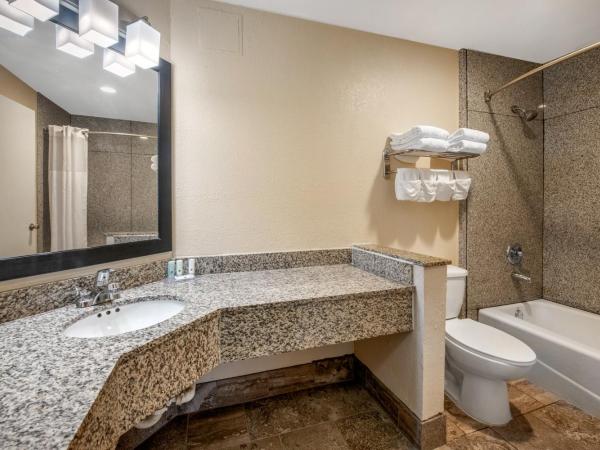 Quality Inn & Suites Jacksonville-Baymeadows : photo 5 de la chambre chambre lit king-size standard