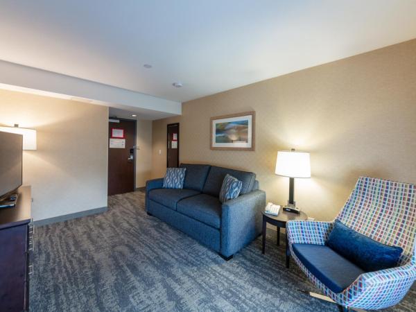 Holiday Inn Express & Suites Riverport Richmond, an IHG Hotel : photo 4 de la chambre chambre spéciale