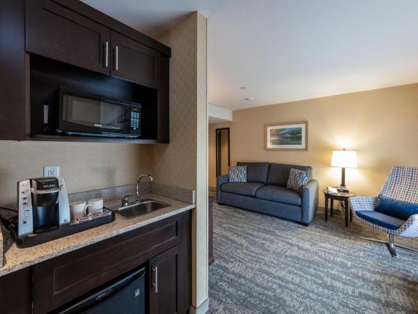 Holiday Inn Express & Suites Riverport Richmond, an IHG Hotel : photo 3 de la chambre chambre spéciale