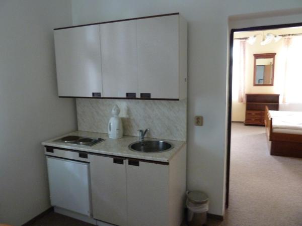 Penzion Holiday : photo 8 de la chambre appartement 1 chambre - annexe