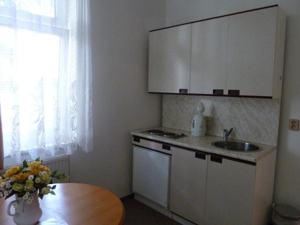 Penzion Holiday : photo 9 de la chambre appartement 1 chambre - annexe