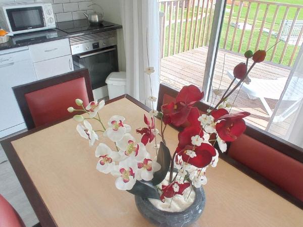 Hotel Apartamento Paraiso De Albufeira : photo 4 de la chambre bungalow - vue sur jardin