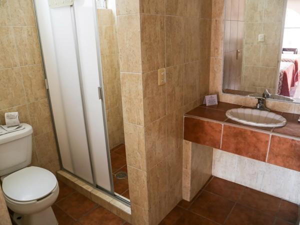 Hotel & Suites Villa del Sol : photo 1 de la chambre chambre double