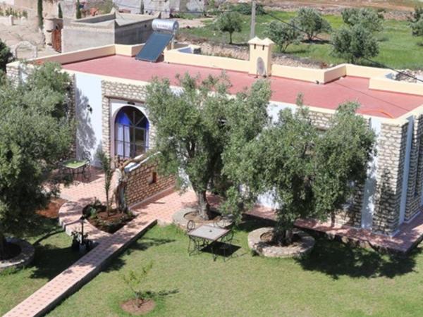 Riad Titima Essaouira : photo 1 de la chambre bungalow deluxe - vue sur jardin