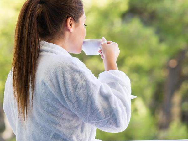 Domotel Kastri : photo 1 de la chambre chambre lits jumeaux deluxe
