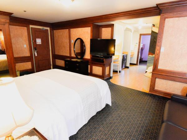 Canad Inns Destination Centre Fort Garry : photo 8 de la chambre suite familiale deluxe