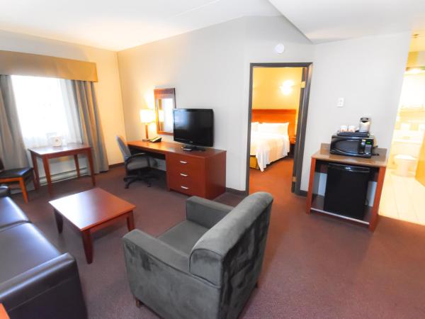 Canad Inns Destination Centre Fort Garry : photo 5 de la chambre suite lit king-size avec canapé-lit