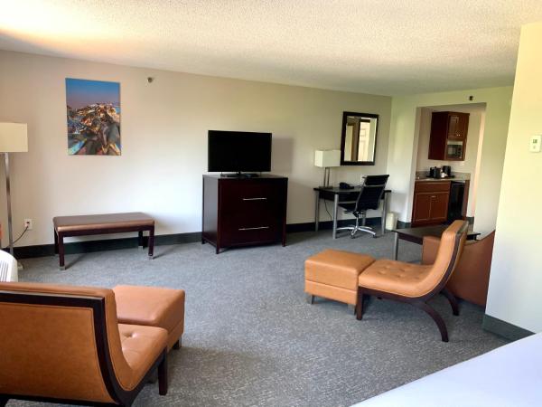 Wingate by Wyndham Atlanta Galleria/ Ballpark : photo 4 de la chambre suite studio lit king-size supérieure - non-fumeurs
