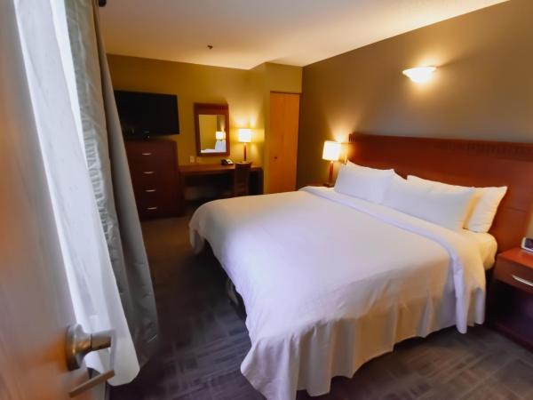Canad Inns Destination Centre Fort Garry : photo 3 de la chambre suite 2 chambres