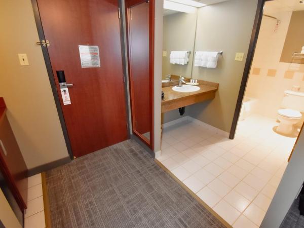 Canad Inns Destination Centre Fort Garry : photo 7 de la chambre suite 2 chambres