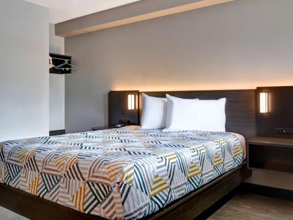 Studio 6-Jacksonville, FL - Baymeadows : photo 1 de la chambre chambre lit queen-size deluxe - non-fumeurs