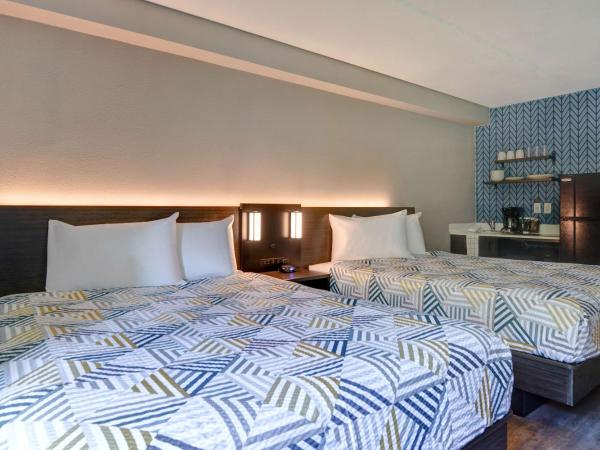 Studio 6-Jacksonville, FL - Baymeadows : photo 2 de la chambre chambre quadruple de luxe - fumeurs