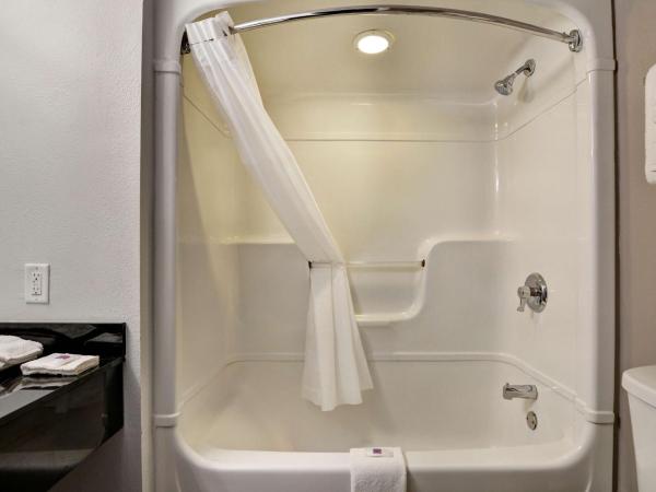 Studio 6-Jacksonville, FL - Baymeadows : photo 8 de la chambre chambre quadruple de luxe - non-fumeurs