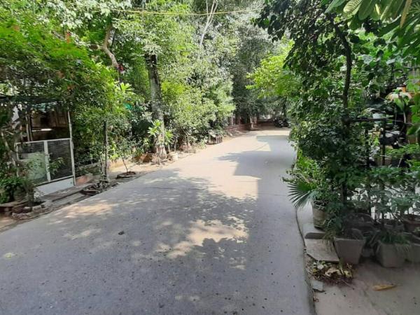 Room in Guest room - Posh S Delhi Foreigners Area, Lajpat Nagar : photo 7 de la chambre chambre familiale