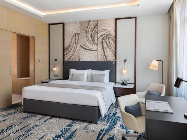Wyndham Dubai Deira : photo 8 de la chambre chambre pour personnes à mobilité réduite - vue sur ville