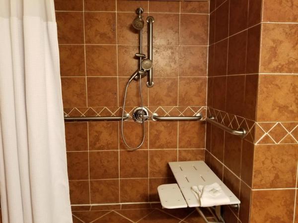 Wyndham Houston near NRG Park - Medical Center : photo 3 de la chambre chambre lit king-size avec douche accessible en fauteuil roulant - adaptée aux personnes à mobilité réduite/non-fumeurs