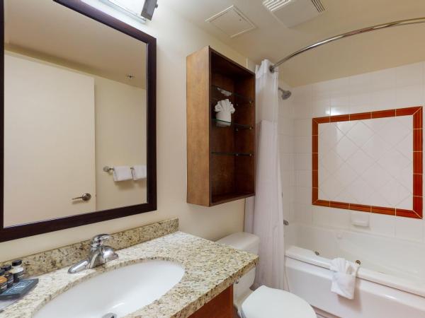 Whistler Peak Lodge : photo 8 de la chambre studio