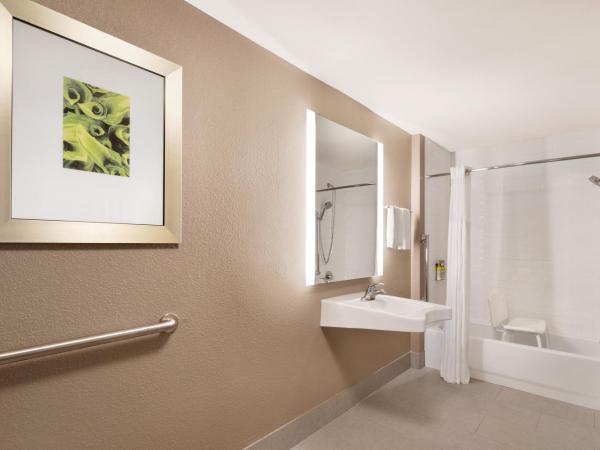 Staybridge Suites San Antonio Downtown Convention Center, an IHG Hotel : photo 7 de la chambre chambre lit queen-size - accessible aux personnes à mobilité réduite/malentendantes - non-fumeurs 
