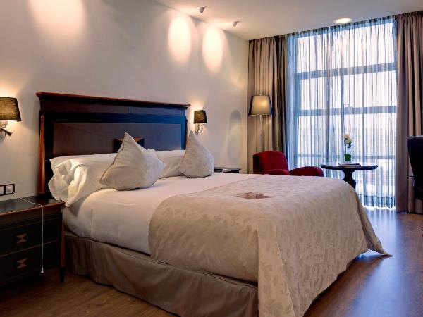 Hotel Crowne Plaza Madrid Airport : photo 4 de la chambre chambre lit king-size standard - accessible aux personnes à mobilité réduite