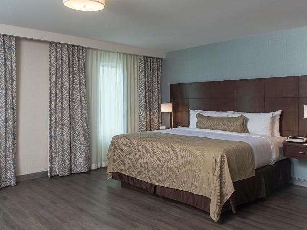 Staybridge Suites Puebla, an IHG Hotel : photo 3 de la chambre suite studio lit queen-size - accès aux personnes à mobilité réduite