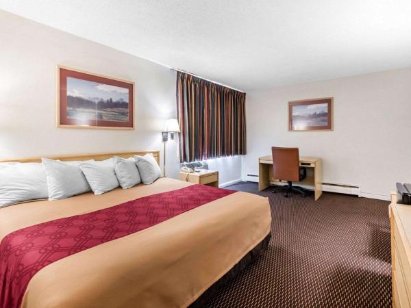 Econo Lodge Downtown : photo 2 de la chambre chambre lit king-size - non-fumeurs
