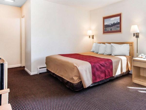 Econo Lodge Downtown : photo 3 de la chambre chambre lit king-size - non-fumeurs